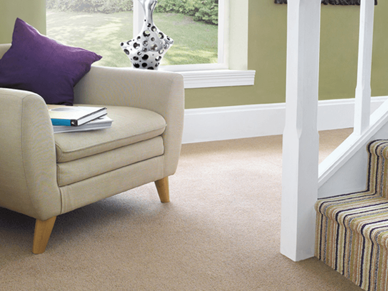 Hugh Mackay Wool Carpets